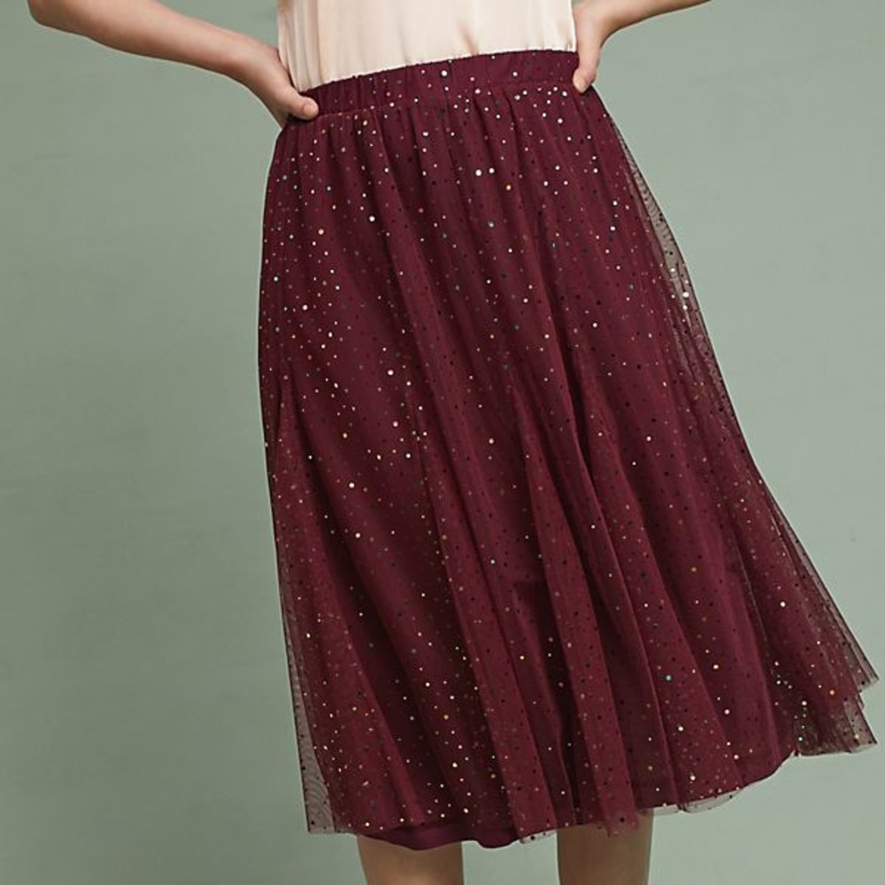 Anthropologie HD in Paris Tulle Skirt XS